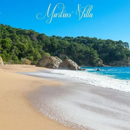 Martin 's Villa. House On The With Pool Vila
