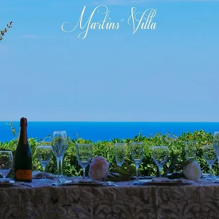 Martin 's Villa. House On The With Pool 빌라 *